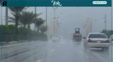 تحذير عاجل.. نصائح ذهبية للسلامة خلال العواصف الرعدية المقبلة